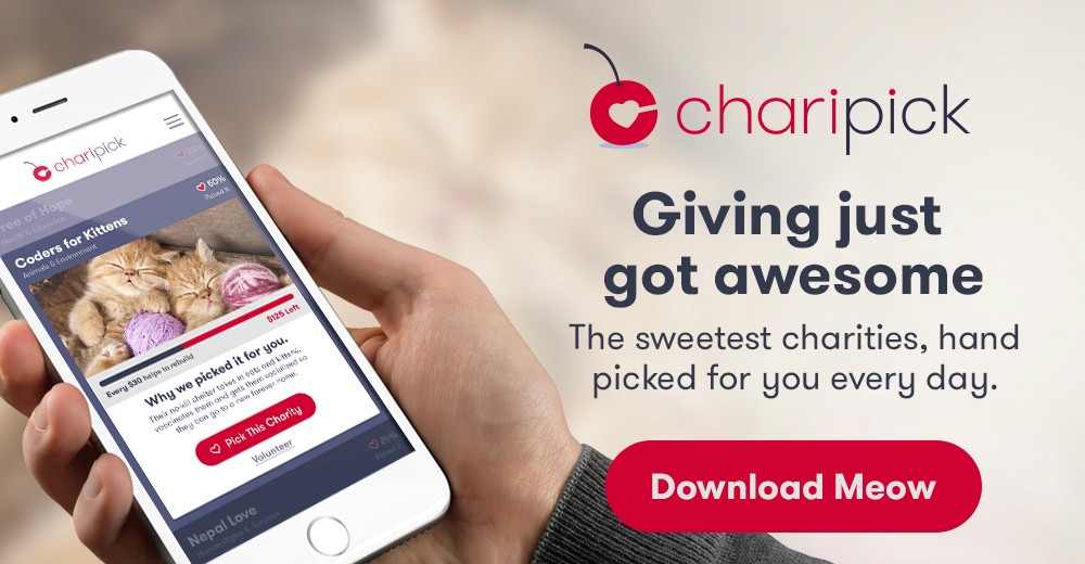 Launch Prep and Iterative Improvement